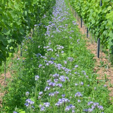 エルンストFerienweingut Gansen / Hochgenuss 1アパートメント エクステリア 写真