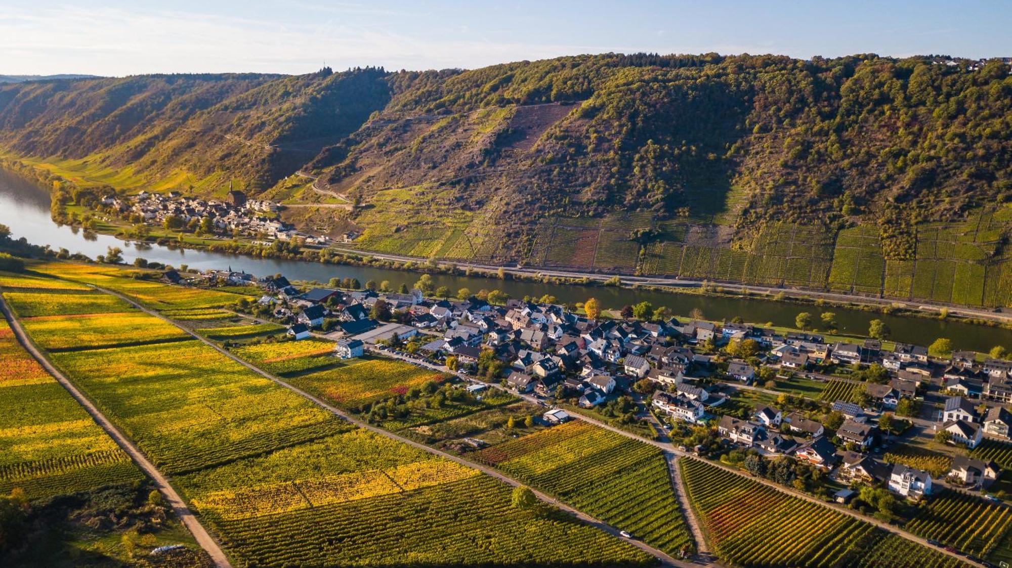 エルンストFerienweingut Gansen / Hochgenuss 1アパートメント エクステリア 写真